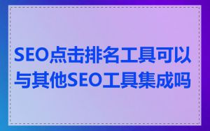 SEO点击排名工具可以与其他SEO工具集成吗