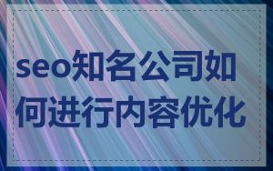 seo知名公司如何进行内容优化
