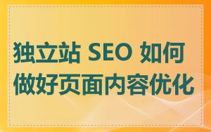 独立站 SEO 如何做好页面内容优化