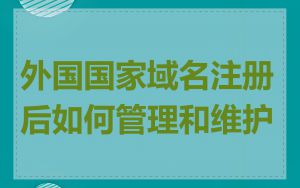 外国国家域名注册后如何管理和维护