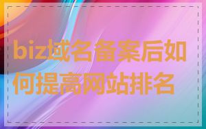 biz域名备案后如何提高网站排名