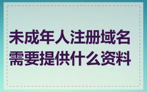 未成年人注册域名需要提供什么资料