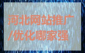 河北网站推广/优化哪家强