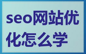 seo网站优化怎么学