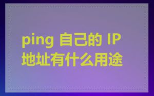 ping 自己的 IP 地址有什么用途