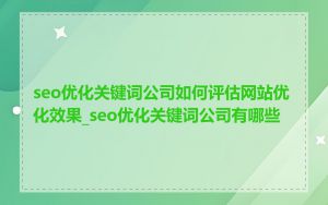 seo优化关键词公司如何评估网站优化效果_seo优化关键词公司有哪些