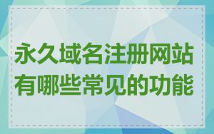 永久域名注册网站有哪些常见的功能