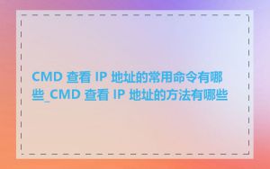 CMD 查看 IP 地址的常用命令有哪些_CMD 查看 IP 地址的方法有哪些