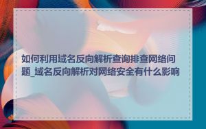 如何利用域名反向解析查询排查网络问题_域名反向解析对网络安全有什么影响