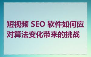 短视频 SEO 软件如何应对算法变化带来的挑战