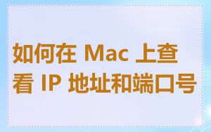 如何在 Mac 上查看 IP 地址和端口号