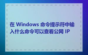在 Windows 命令提示符中输入什么命令可以查看公网 IP