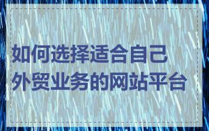 如何选择适合自己外贸业务的网站平台