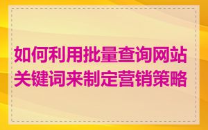 如何利用批量查询网站关键词来制定营销策略