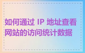 如何通过 IP 地址查看网站的访问统计数据