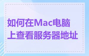 如何在Mac电脑上查看服务器地址