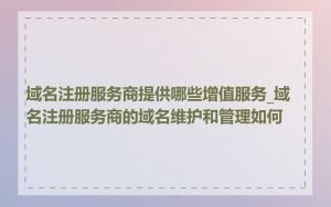域名注册服务商提供哪些增值服务_域名注册服务商的域名维护和管理如何