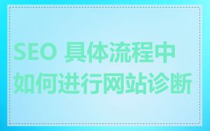 SEO 具体流程中如何进行网站诊断