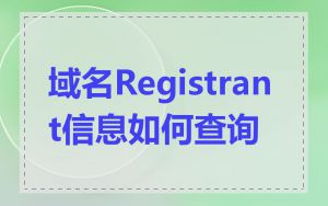 域名Registrant信息如何查询