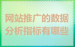 网站推广的数据分析指标有哪些