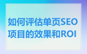 如何评估单页SEO项目的效果和ROI
