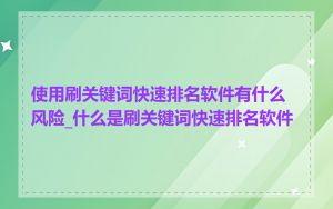使用刷关键词快速排名软件有什么风险_什么是刷关键词快速排名软件
