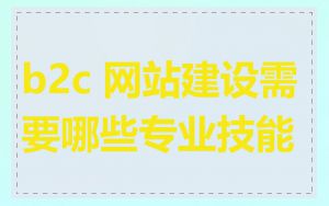 b2c 网站建设需要哪些专业技能