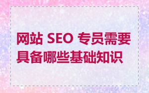 网站 SEO 专员需要具备哪些基础知识