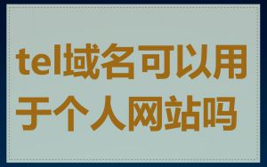 tel域名可以用于个人网站吗