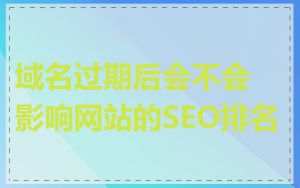 域名过期后会不会影响网站的SEO排名