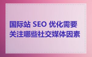 国际站 SEO 优化需要关注哪些社交媒体因素