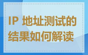 IP 地址测试的结果如何解读