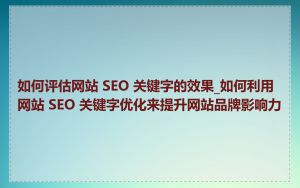 如何评估网站 SEO 关键字的效果_如何利用网站 SEO 关键字优化来提升网站品牌影响力