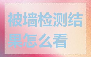 被墙检测结果怎么看