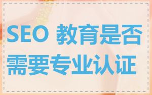 SEO 教育是否需要专业认证