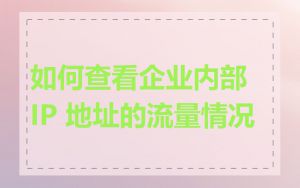 如何查看企业内部 IP 地址的流量情况
