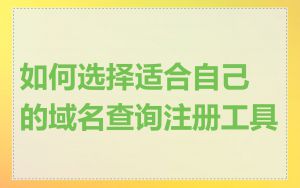 如何选择适合自己的域名查询注册工具