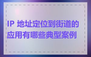 IP 地址定位到街道的应用有哪些典型案例