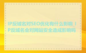 IP反域名对SEO优化有什么影响_IP反域名会对网站安全造成影响吗