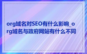 org域名对SEO有什么影响_org域名与政府网站有什么不同