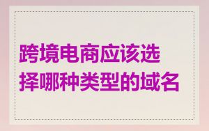 跨境电商应该选择哪种类型的域名