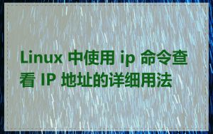 Linux 中使用 ip 命令查看 IP 地址的详细用法