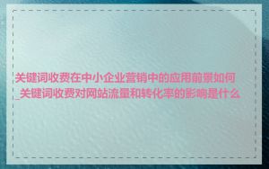 关键词收费在中小企业营销中的应用前景如何_关键词收费对网站流量和转化率的影响是什么