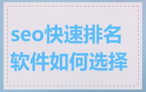 seo快速排名软件如何选择