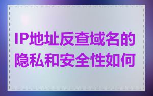 IP地址反查域名的隐私和安全性如何