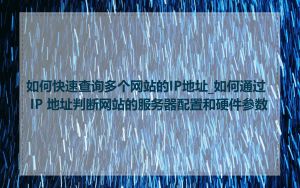 如何快速查询多个网站的IP地址_如何通过 IP 地址判断网站的服务器配置和硬件参数