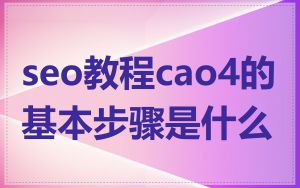 seo教程cao4的基本步骤是什么