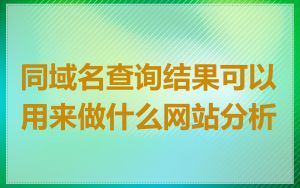 同域名查询结果可以用来做什么网站分析
