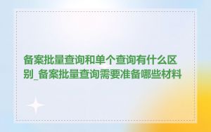 备案批量查询和单个查询有什么区别_备案批量查询需要准备哪些材料