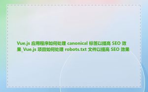 Vue.js 应用程序如何处理 canonical 标签以提高 SEO 效果_Vue.js 项目如何处理 robots.txt 文件以提高 SEO 效果